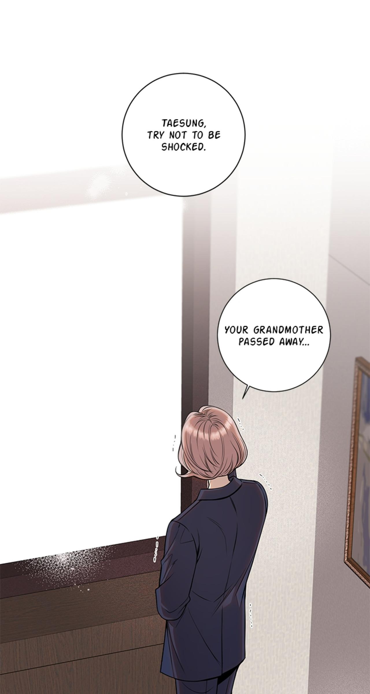 Cherry Blossoms After Winter Chapter 148 Page 1