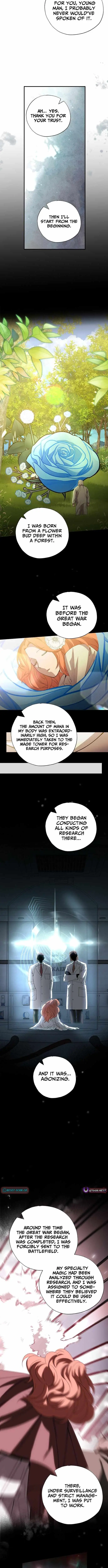 Magical Realm Shopkeeper Chapter 103 Page 4